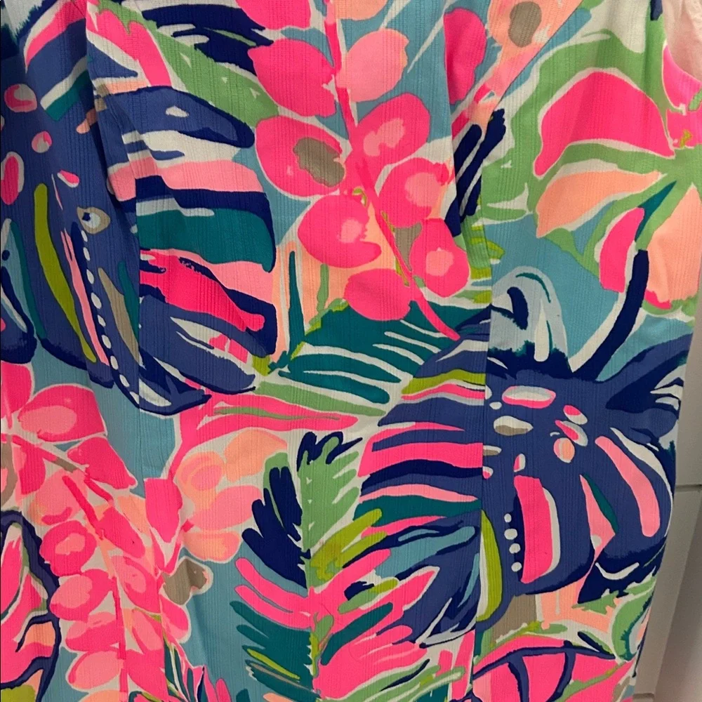Lilly Pulitzer dress - Picture 2 of 4